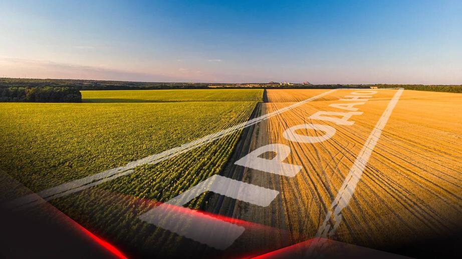 IMG_20250516_071034_638.jpg IMG_20250516_071034_638.jpg