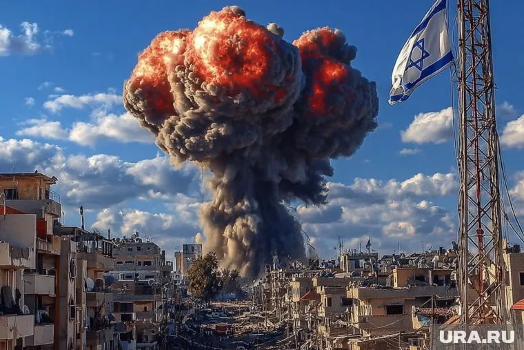 IMG_20260127_061828_876.jpg IMG_20260127_061828_876.jpg