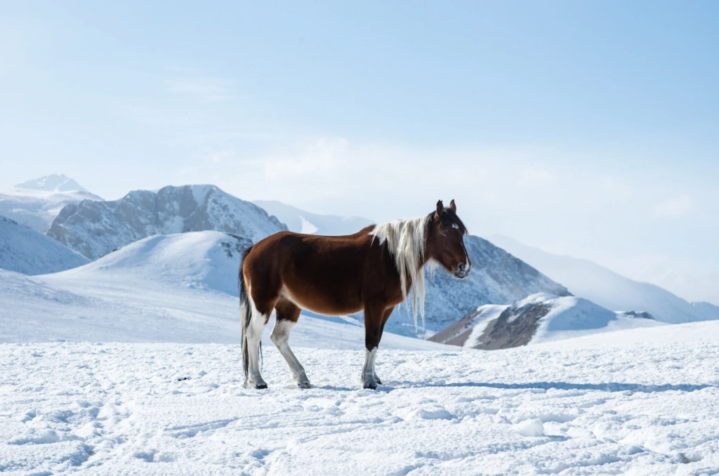 2-USD20230112L1000616.jpg 2-USD20230112L1000616.jpg