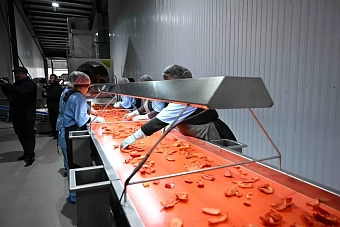 первый завод по шоковой заморозке фруктов и овощей заработал в кыргызстане