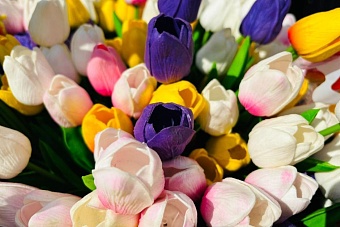 наурыз по-новому: в казахстане решили придать ему новую суть и удлинить празднование 