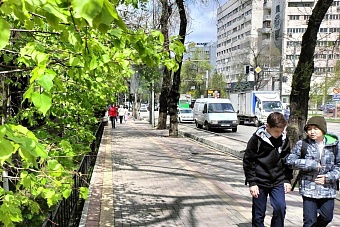 какая погода ожидается в центральной азии во вторник, 15 апреля 2025