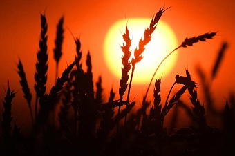 в кыргызстане не планируют сокращать рабочий день из-за аномальной жары