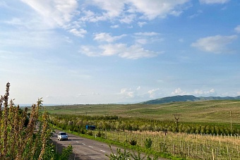 жара и ясная погода в узбекистане, в кыргызстане – местами дожди: прогноз погоды в пятницу, 31 мая 2024