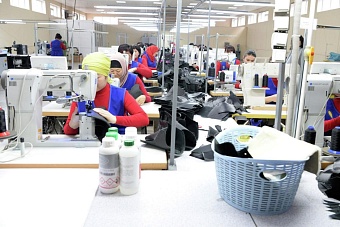 Итоги развития ЕАЭС: в 2024 году динамика роста сохранится 