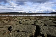 битва за воду: мегапроект талибов может осушить всю центральную азию