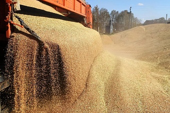 россия и казахстан стали главными гарантами продовольственной безопасности в еаэс