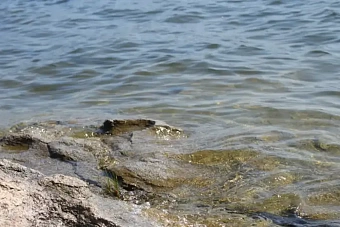 Национальную гидрогеологическую службу возродят в Казахстане