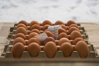 россия выделит $1,2 млн на запуск птицефабрики в киргизии (видео)