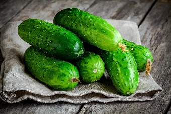 часть зарплаты огурцами: власти узбекистана предложили выплачивать зарплату гражданам в натуральной форме 