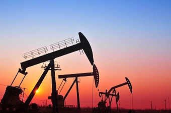 власти румынии объявили чрезвычайную ситуация  из-за загрязненной нефти из азербайджана