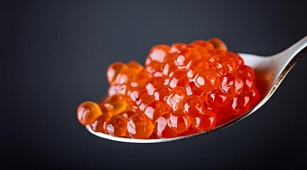 в россии предлагают ввести полный запрет на провоз красной икры физическими лицами