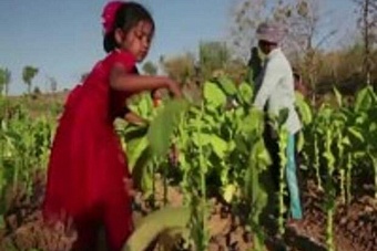 американцы использовали труд детей на плантациях в казахстане