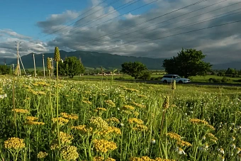 теплая и сухая погода в узбекистане и дожди в кыргызстане: погода на среду, 29 мая 2024