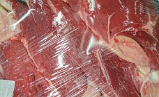 мясокомбинаты казахстана переполнены мясом сайгаков, на которое нет спроса