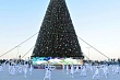 главную елку туркменистана украсили ветками пихты из сибири