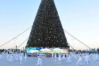 главную елку туркменистана украсили ветками пихты из сибири