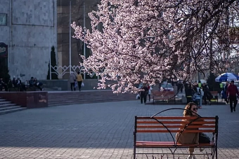 тепло и сухо: погода в странах центральной азии в воскресенье, 24 марта 2024