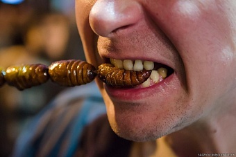 Результаты ВЭФ в Давосе: «Забыть о мясе и перейти на червей»