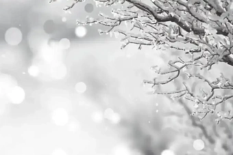 сильные морозы до минус 38 градусов пришли в казахстан: погода на 15 февраля 2024 года