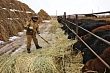 стало известно, на какие товары отменили ндс в кыргызстане 2024 (список)
