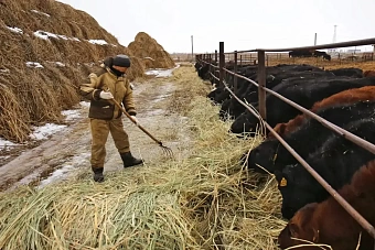 стало известно, на какие товары отменили ндс в кыргызстане 2024 (список)