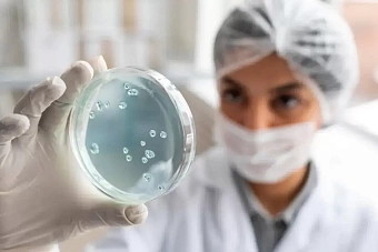 заболеваемость сибирской язвой выросла в таджикистане