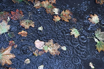 в долинах будет тепло и без осадков, в горах ожидаются дожди и снег: погода в кыргызстане и узбекистане в понедельник, 23 сентября 2024