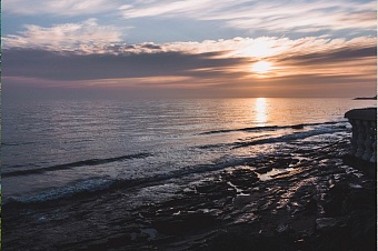 в каспийском море ученые наблюдают за быстрым распространением водорослей - убийц