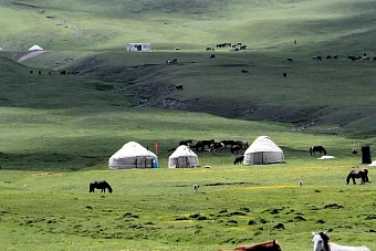 жара ожидается в узбекистане и кыргызстане: погода в четверг, 20 июня 2024
