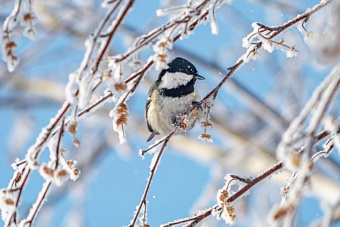 морозы вскоре вернутся: погода в казахстане в среду, 6 марта 2024