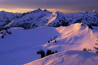 дипломаты проверяют данные о гибели в афганистане жителей киргизии из-за инфекции