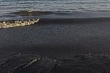 разливом нефти в каспийском море займутся казахстанские экологи-чиновники
