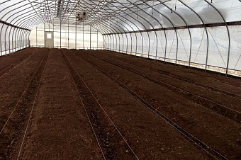 в туркестанской области казахстана запустят самую большую теплицу в мире