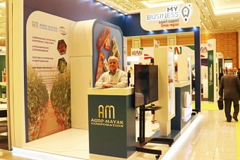 рынок туркменистана заинтересовал российскую компанию: она планирует строить теплицы в республике