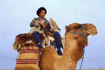 погода, в странах центральной азии, 8 сентября 2023 года: в астане +18, в ашхабаде +33