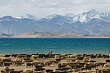 погода, 7 апреля 2023 года: в астане +8, в ашхабаде +26