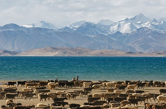 погода, 7 апреля 2023 года: в астане +8, в ашхабаде +26