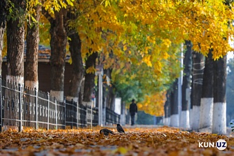 непостоянная, как девушка: что приготовила погода жителям центральной азии в пятницу, 22 августа 2025 года