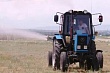 саранча наступает: власти казахстана прогнозируют нашествие на 1,5 млн. га