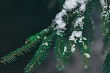 морозы до -38°с, снег и метель: погода в казахстане на 24 февраля 2024