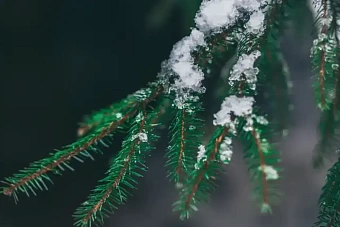 морозы до -38°с, снег и метель: погода в казахстане на 24 февраля 2024