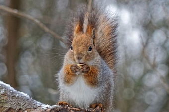 какой будет погода в центральной азии в понедельник, 2 декабря 2024