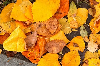 местами дождь и снег ожидаются в узбекистане и кыргызстане: погода в понедельник, 14 октября 2024