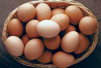 в казахстане за неделю на 1,9% выросли цены на яйца 