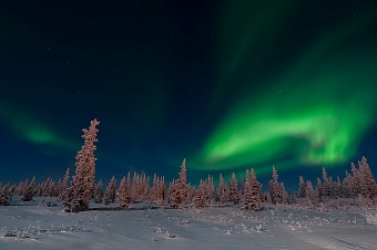 взаимный торговый оборот между мурманской областью и казахстаном вырос в четыре раза 