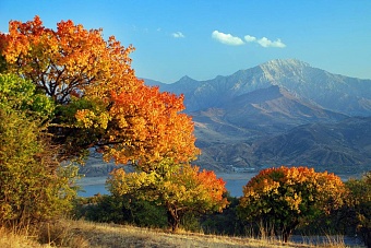 осень приблизится к центральной азии в среду, 10 сентября 2025 года