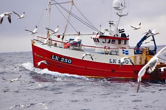 Селедочная королева: русские отодвинули Британию от рыбной кормушки