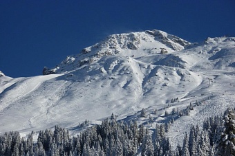 под лавиной в таджикистане погибли три человека