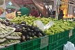 в еаэс определили квоты для беспошлинного ввоза сельхозпродукции из ирана